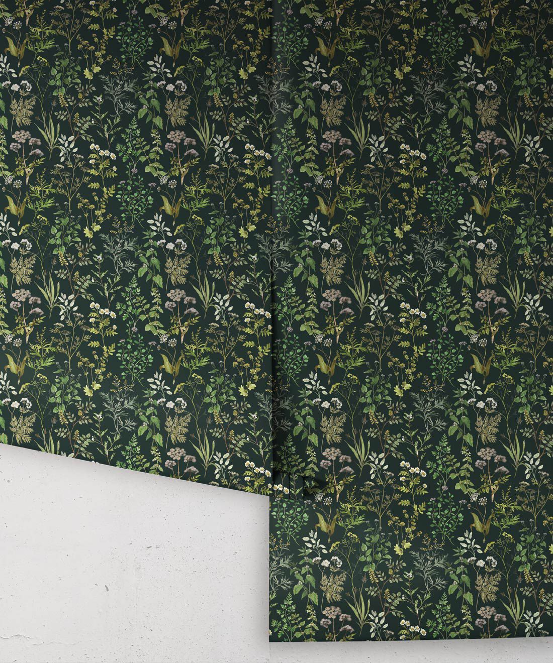 Herbarium Herbs Wallpaper