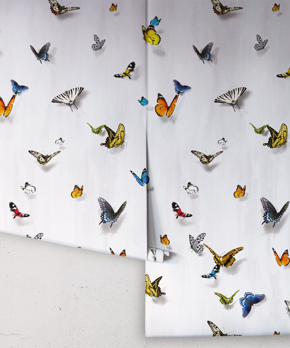 Papilio Wallpaper