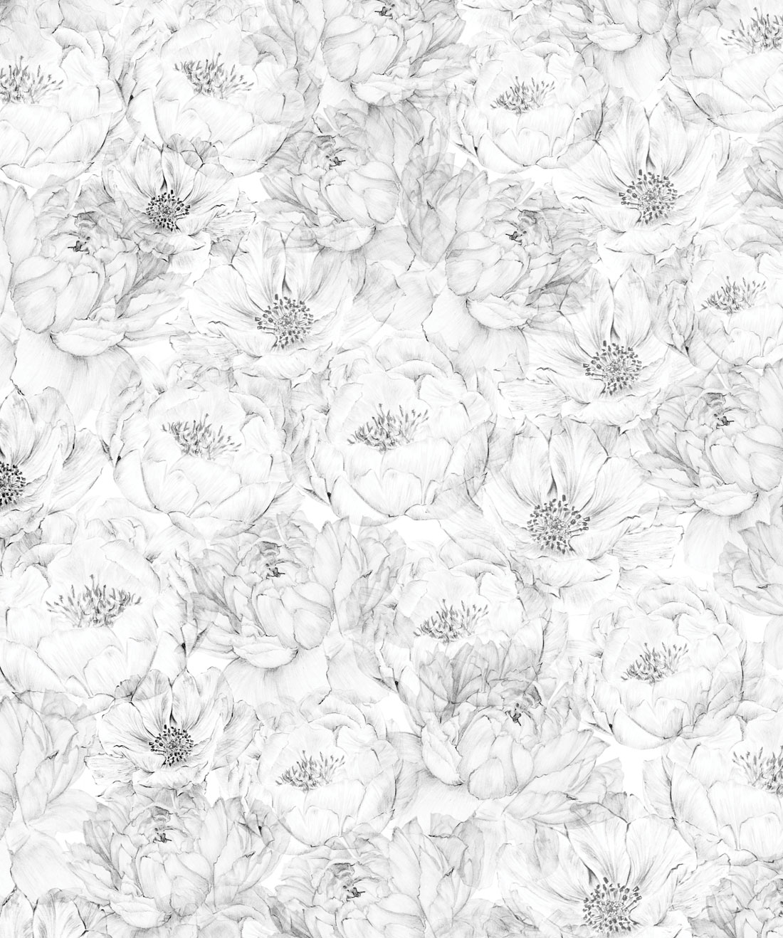 Peonies & Anemones Wallpaper (Two Roll Set)